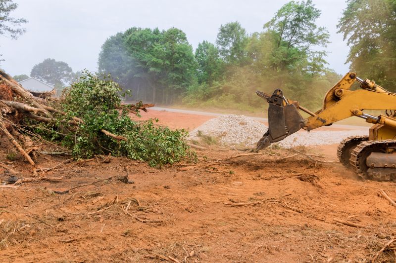 Land Clearing with Excavator
