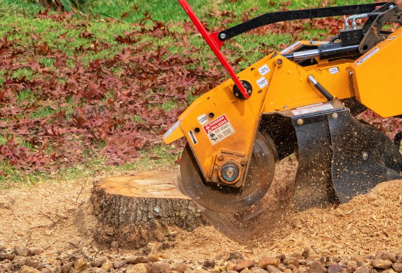 Stump Removal Machinery