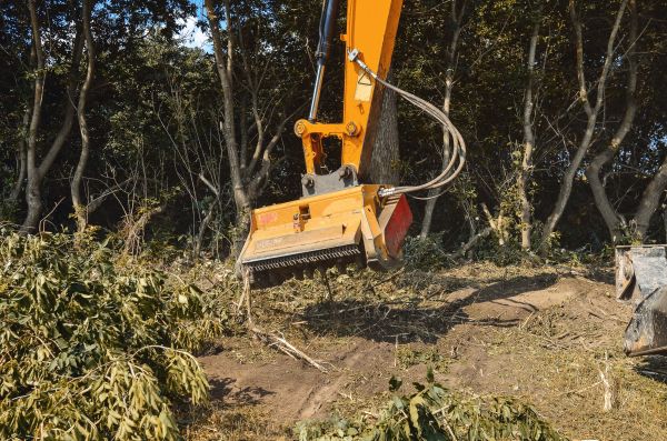 Brush Removal Service in Gary