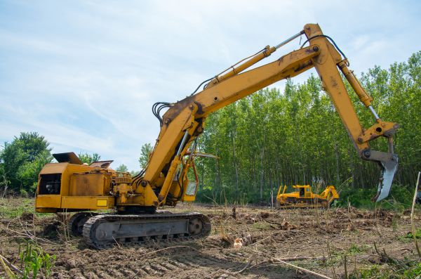 Cost of Farm Clearing in Gary