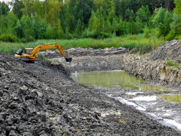 Cost of Lake Lot Clearing in Gary