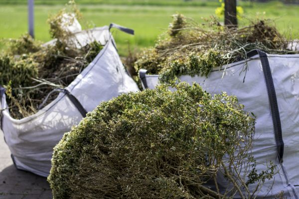 Cost of Bushes Clearing in Gary