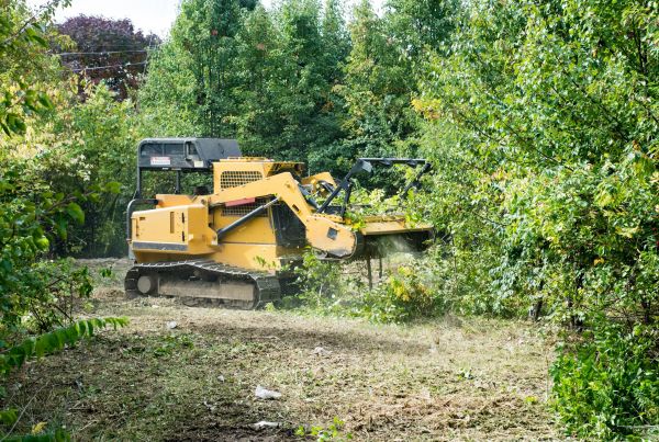 Cost of Pathway Clearing in Gary