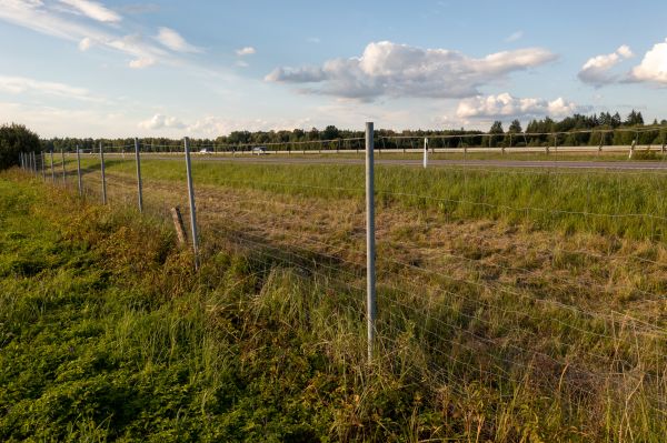 Cost of Property Line Clearing in Gary