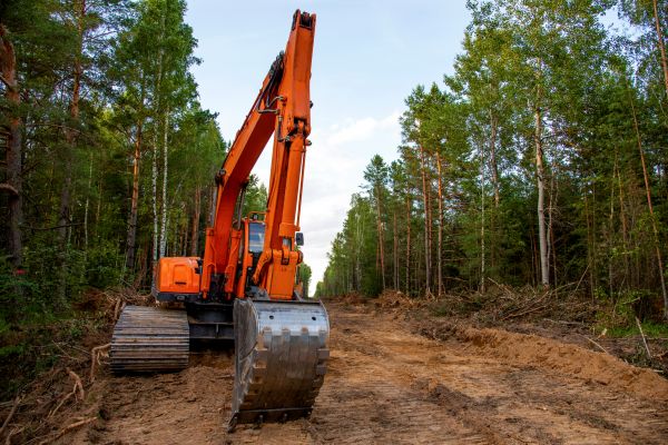 Cost of Backhoe Land Clearing in Gary