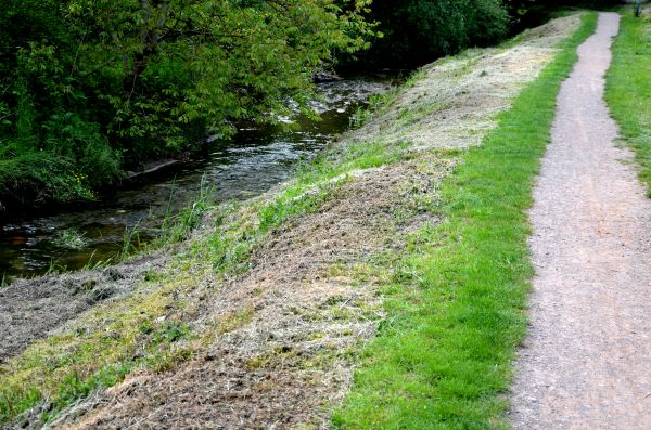 Cost of Trail Cutting in Gary